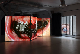Documentation photography of the solo exhibition