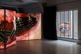 Documentation photography of the solo exhibition