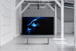 Documentation photography of the solo exhibition